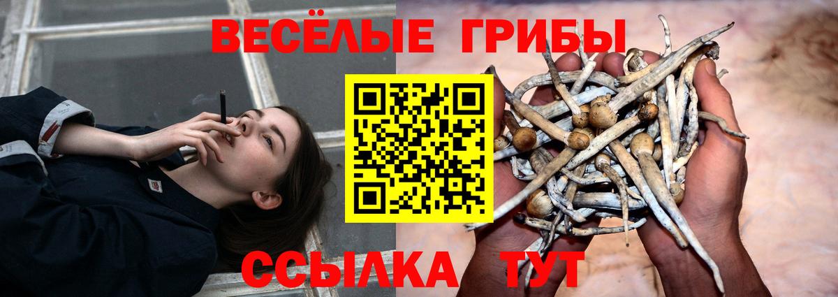 Псилоцибиновые грибы Magic Shrooms Славгород