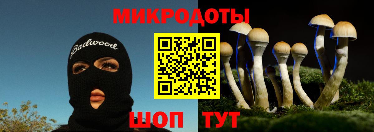 Славгород  Галлюциногенные грибы Magic Shrooms  купить   Вход с VPN  Псилоцибиновые грибы MAGIC MUSHROOMS 